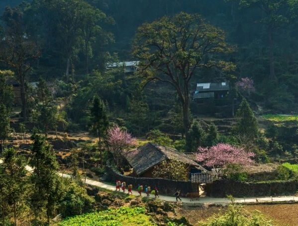 Tour cao nguyên đá Đồng Văn từ Hà Nội