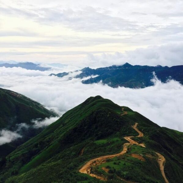 Săn Mây Tà Xùa - Thảo Nguyên - Tà Xùa Ecolodge